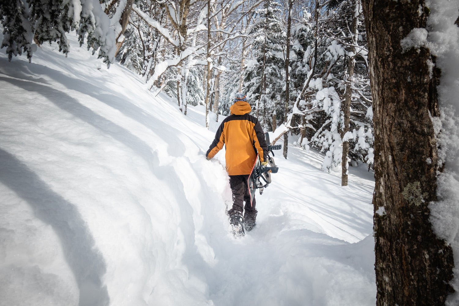 Man snowboarding, 22/23, Rome Snowboards, Forging Your Own Path - Ralph Kucharek's  Backcountry Experience