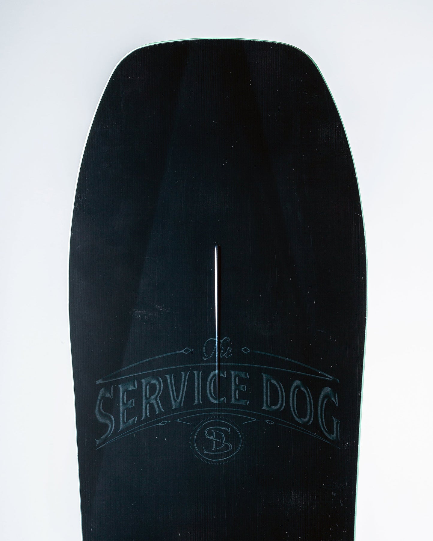 Service Dog